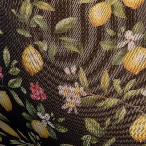 Addicted Lemon Garden Bikini Briefs Black Inderwear