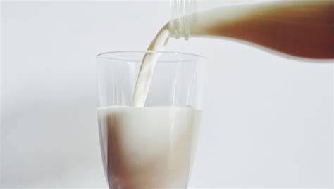 How Important Is Milk in a Well-Balanced Diet? | Houston Methodist On ...