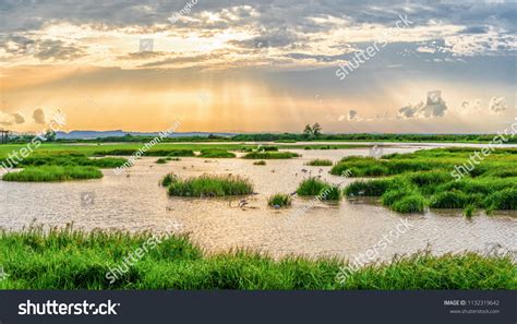 Coastal Wetland Images Stock Photos Vectors Shutterstock