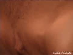 Random Hot Gifs Vol3 C Gif0001a Porn Pic