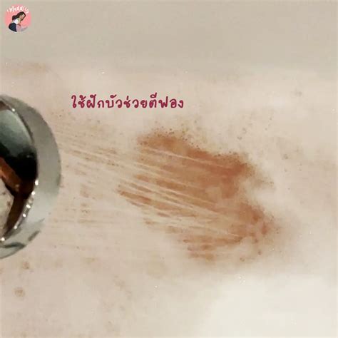 Bubble Bath แช่อ่าง ฟองฟู ฟิน ๆ 🛁🫧 แกลเลอรีที่โพสต์โดย Maddy Reviews