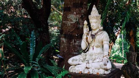 Buddhism And Sex Buddho Org