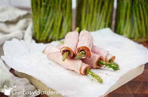 Pickled Asparagus Recipe Quick And Easy Get Busy Gardening