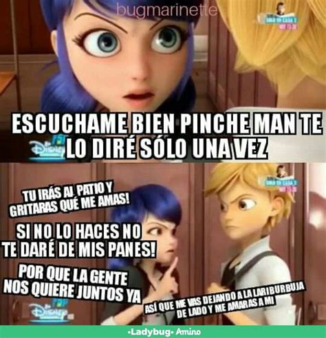 Memes de problemática Miraculous Ladybug Español Amino