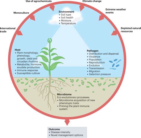 Climate Change Impacts On Plant Pathogens Food Security And Paths