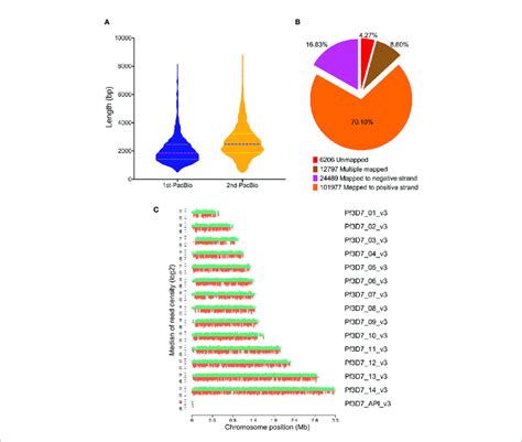 Mapping Results Of Pacbio Sequencing A Reads Length Distribution