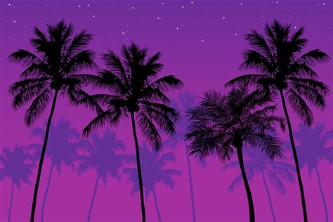 Palm Trees At Dusk Digital Art By Andrea Hill Fine Art America