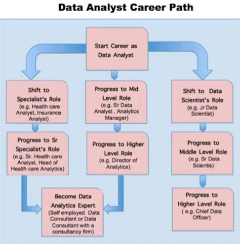 Data Analyst Career Paths Your 2024 Guide Ccsla Learning Academy