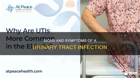how to know you have urine infection