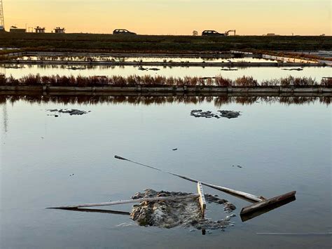 visitar em aveiro portugal luli monteleone viajando  estilo