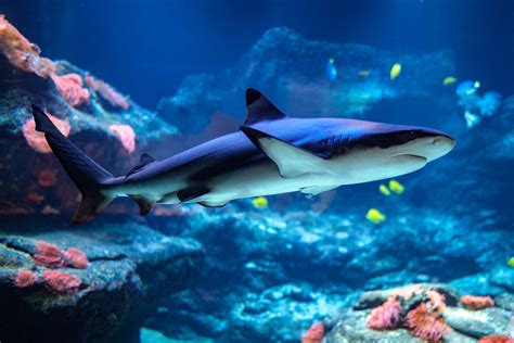 Aquazoo Löbbecke Museum - Landeshauptstadt Düsseldorf