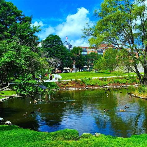 THE 10 BEST Saratoga Springs Tours & Excursions for 2025