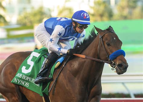 Kentucky Derby 2024 Contenders Past Performances Ester Janelle
