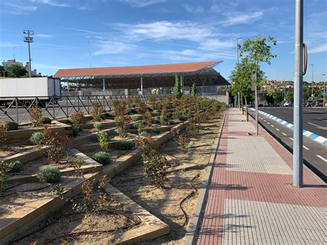 Plaza De Toros Las rozas - TBF Espacios Verdes