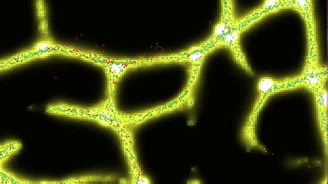 Slime Mold Algorithm Simulation Youtube