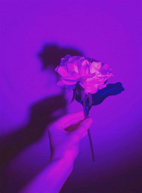 Download Dark Purple Aesthetic White Flower Wallpaper | Wallpapers.com
