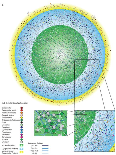 global views   protein interaction map  protein family human