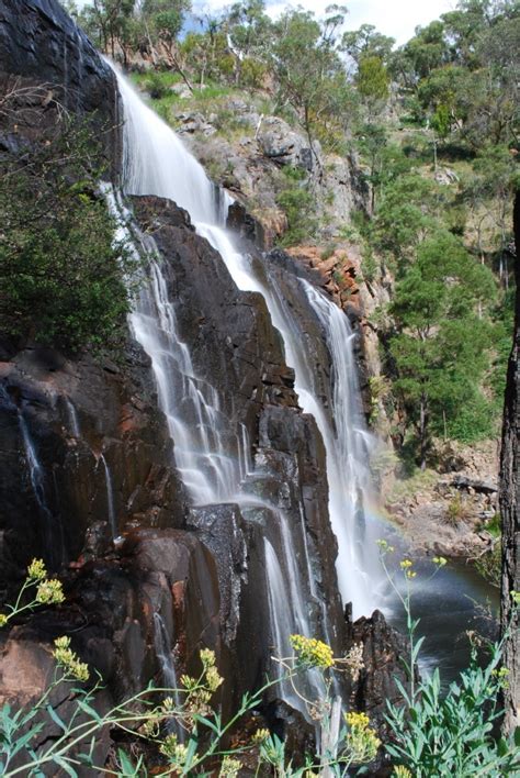 Mackenzie Falls, Grampians National Park jigsaw puzzle in Waterfalls ...