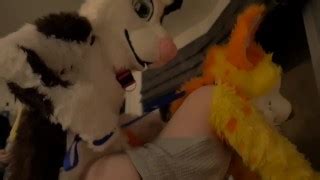 Real Furry Sex Tff Hotporntv Net Xxx Sex Videos And Porn Star Movies