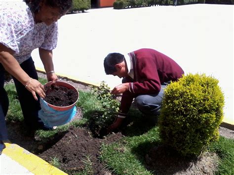 Cuidado De Areas Verdes