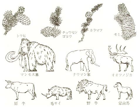 大網白里市-大網白里市デジタル博物館:大網白里町史