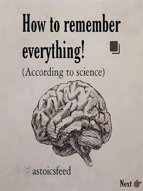 How to Remember Everything | PDF