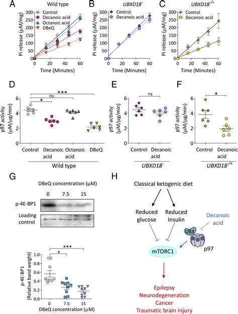 Decanoic Acid Inhibits MTORC1 Activity Independent Of Glucose And