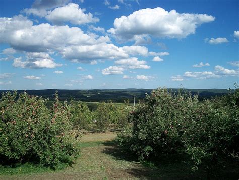 Middlefield - Connecticut History | a CTHumanities Project