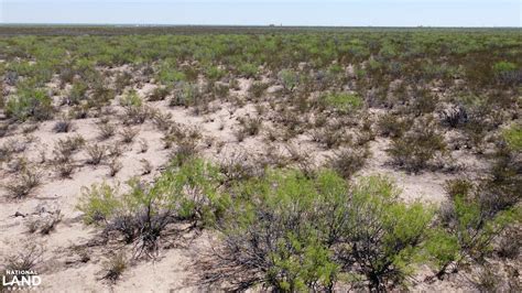 Reeves County Road Pecos Tx Land And Farm