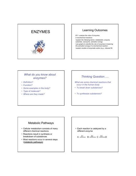 Enzymes 1 Ppt Pdf