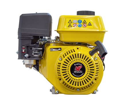 Petrol engine Peggas-S AP170F Yellow - Waspper