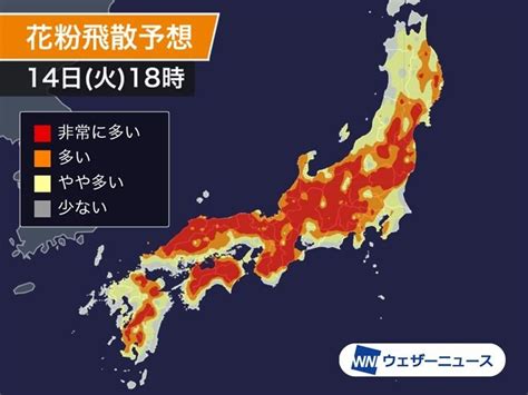 花粉症の方はご注意。3月14日の今日、スギ花粉が大量飛散の恐れ ハフポスト News