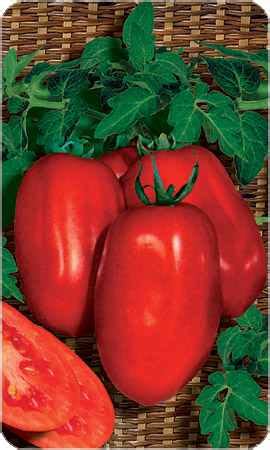 Купить томат Новинка Приднестровья (ЭР)