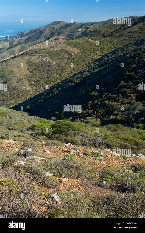 Summit View San Bruno Mountain State Park California Stock Photo Alamy