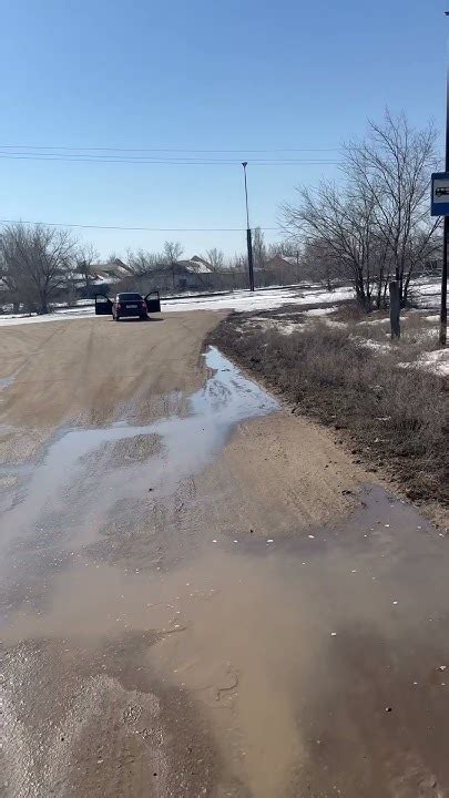 #приора #автозвукболезнь #pride 2 пары прайд соло 300 8 стоит ли ...