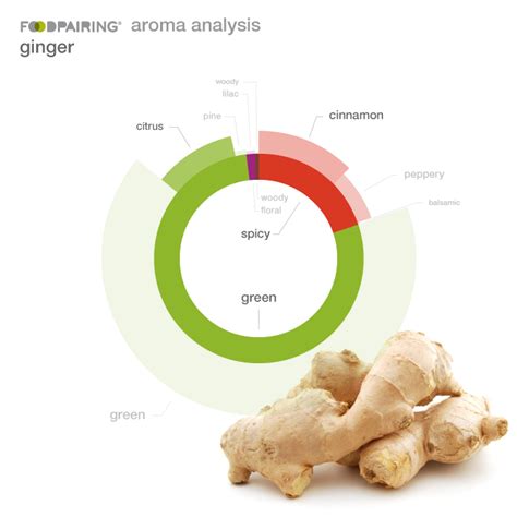 Fresh Cooked Or Dried Ginger How To Differentiate In Aromas And