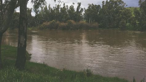 63 Free Camps On The Murrumbidgee River Camping At It's Best