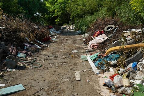 Las Consecuencias Devastadoras De Tirar Basura En La Calle Y Sus Estragos En La Naturaleza