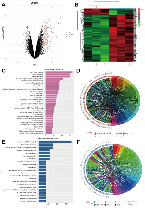 Effect of Nrf2 on brain injury induced by hydraulic shock via ...