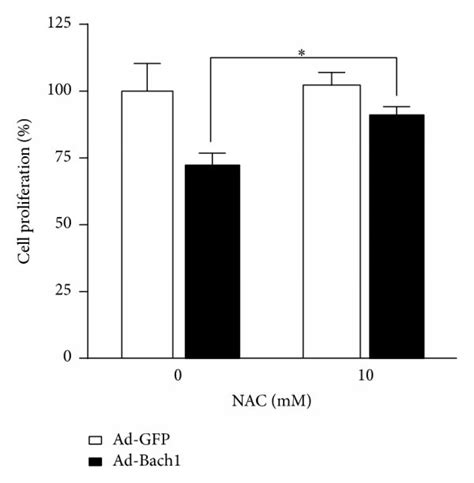 Bach Disrupts Cell Cycle Progression And Inhibits Cell Proliferation