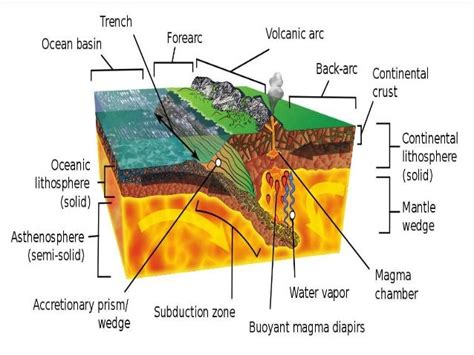 Major Oceanic Trenches