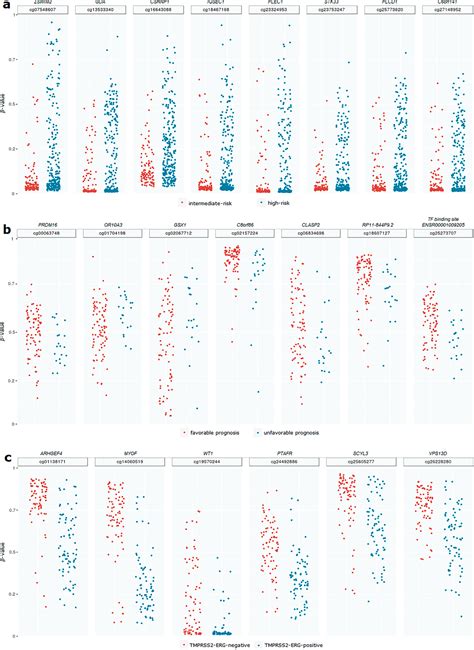 Differentially Methylated Cpg Sites Associated With The High Risk Group