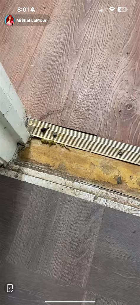 Michaels crack house bugs : r/mishallamour