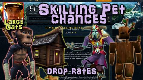 Skilling pet chances - Drop rates revealed! - YouTube