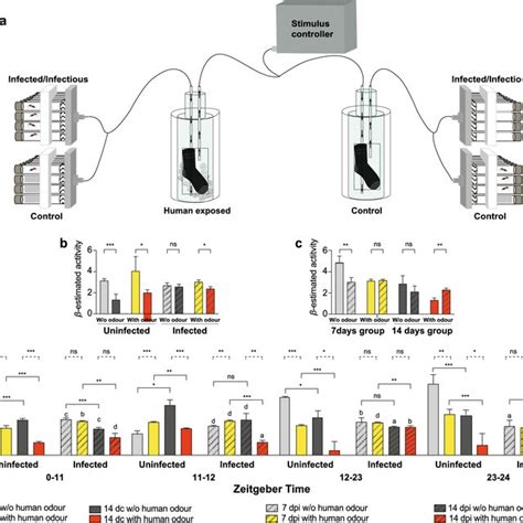 Plasmodium Falciparum Infection Stage Affects Antennal Transcript