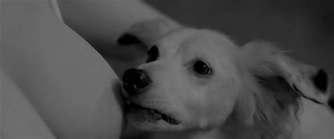 Nude Video Celebs Actress Judy Greer