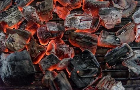 Solid Hardwood Lump Charcoal For Burning At Kg In Chennai Id