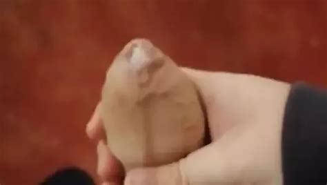 Haariger Schwanz Im Strandkorb Nude Pics XHamster