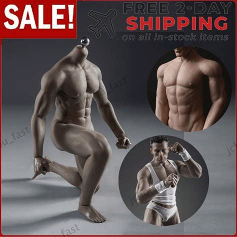 Jiaou Doll Muscular Seamless Male Body Figure For Hot Toys Phicen Head Ebay