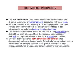 Plant Development PPT